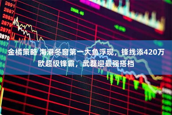 金橘策略 海港冬窗第一大鱼浮现，锋线添420万欧超级锋霸，武磊迎最强搭档